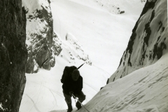 redaelli_374