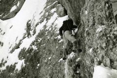 redaelli_377