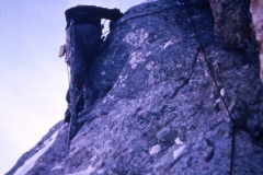 redaelli_403