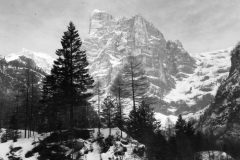redaelli_411