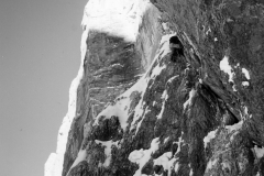 redaelli_440