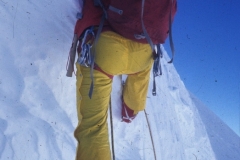 CFER496