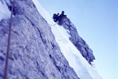 redaelli_459