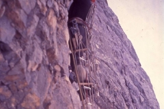 redaelli_465