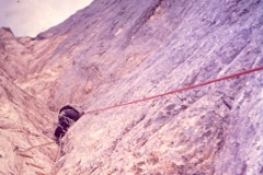 redaelli_466