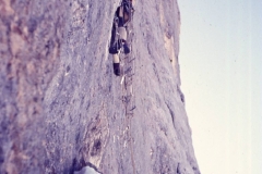 redaelli_473