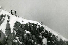 redaelli_492