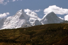 taulliray (12)
