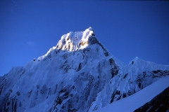 taulliray (15)