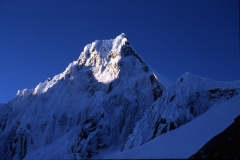 taulliray (17)