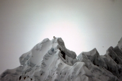 taulliray (19)