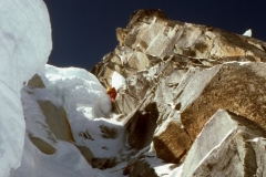 taulliray (9)