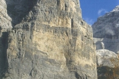 Torre Trieste2
