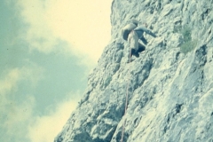 redaelli_558