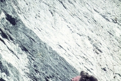 redaelli_559