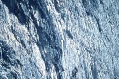 redaelli_562