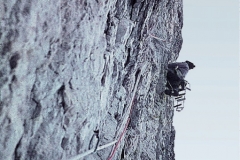 redaelli_564