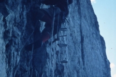redaelli_565