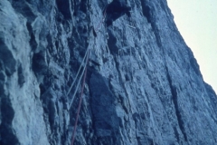 redaelli_566