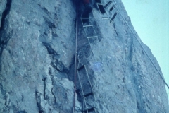 redaelli_569