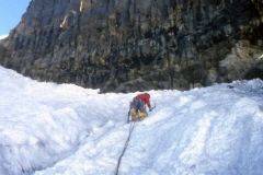 trapezio (11)