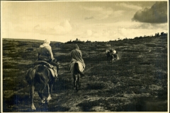 GASPARLEOP_084