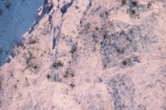 perego026