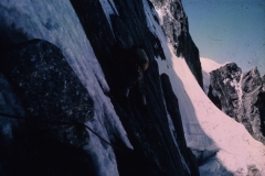 perego027