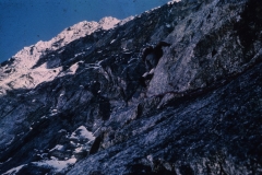 perego031