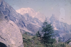 perego036